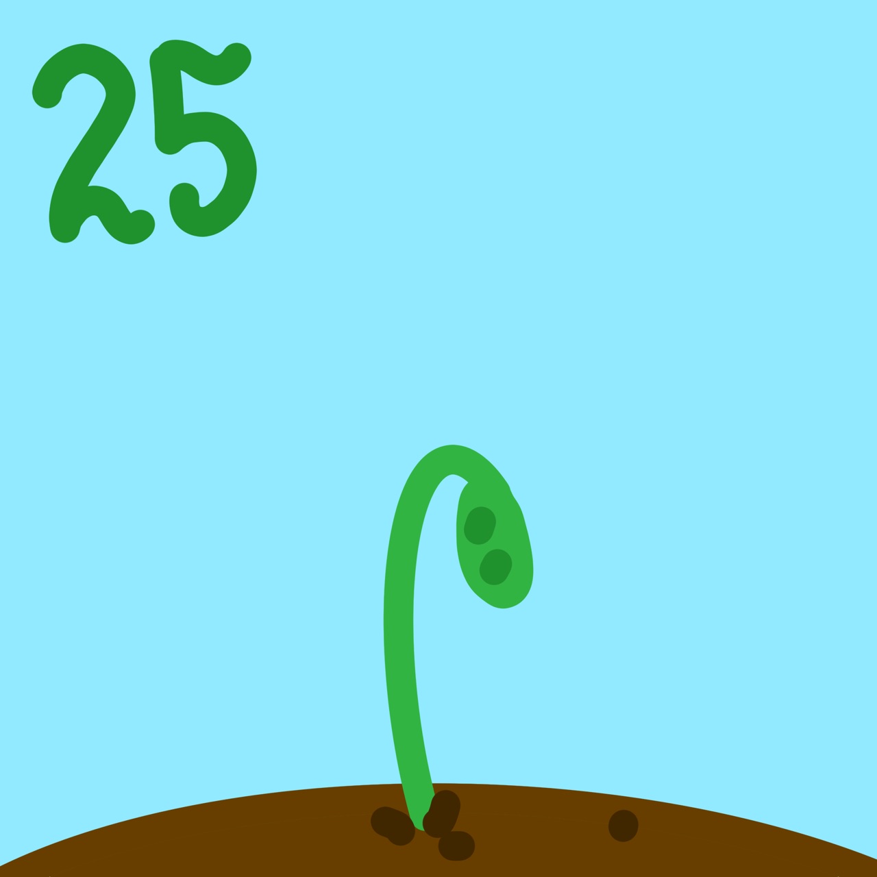 Diary 25